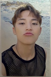 HYPE VIBES 專輯卡 HYPE VIBES 專輯卡 WVS電子專