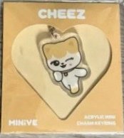 MINIVE PARK 快閃店 鑰匙圈吊飾 壓克力吊飾CHEEZ