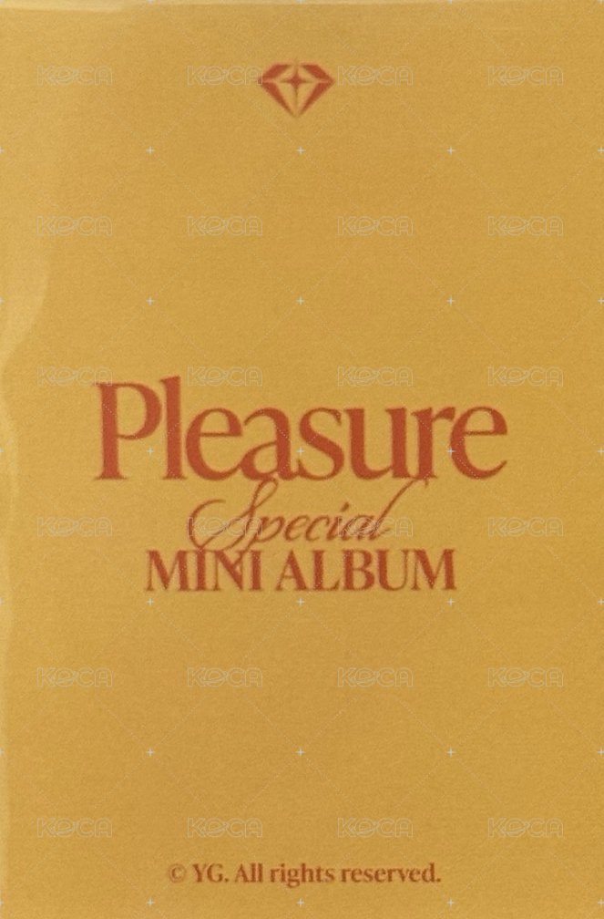 PLEASURE   特典卡 THE SAMEE專輯特典 明洞店限定 背面