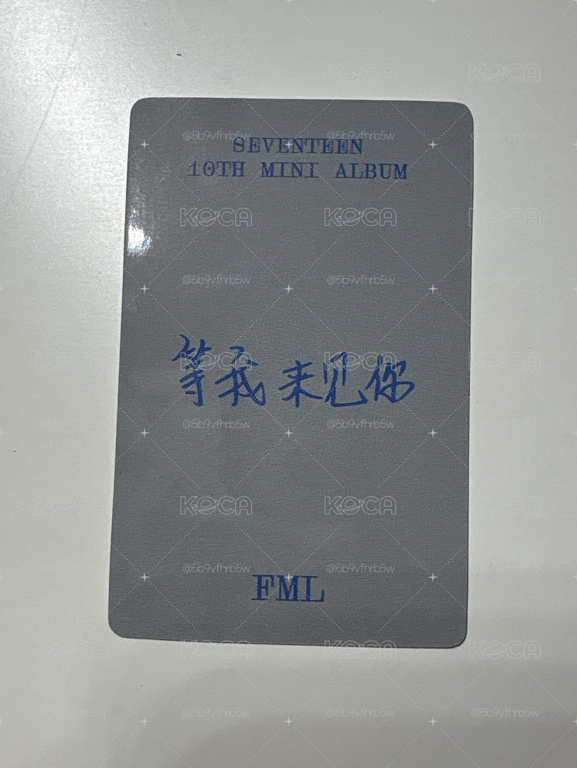 迷你10中文卡背