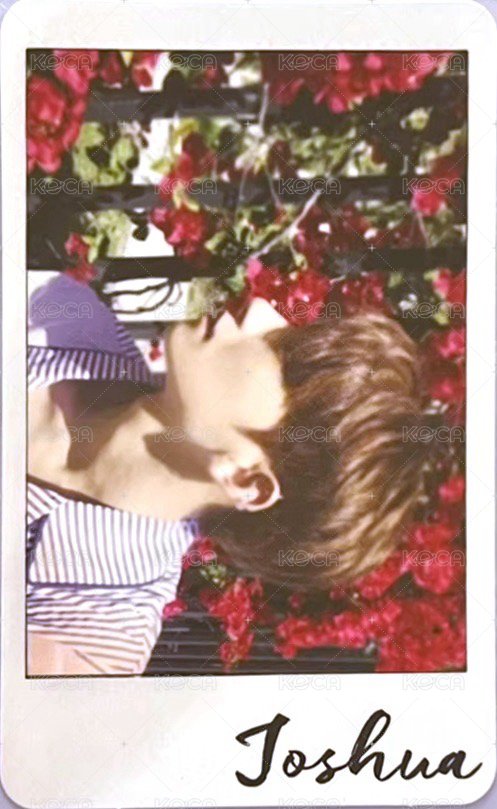 MINI4 專輯卡 ｜ALL 13 ver. 正面