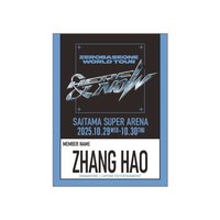 世巡H&N 貼紙 一番賞 F賞