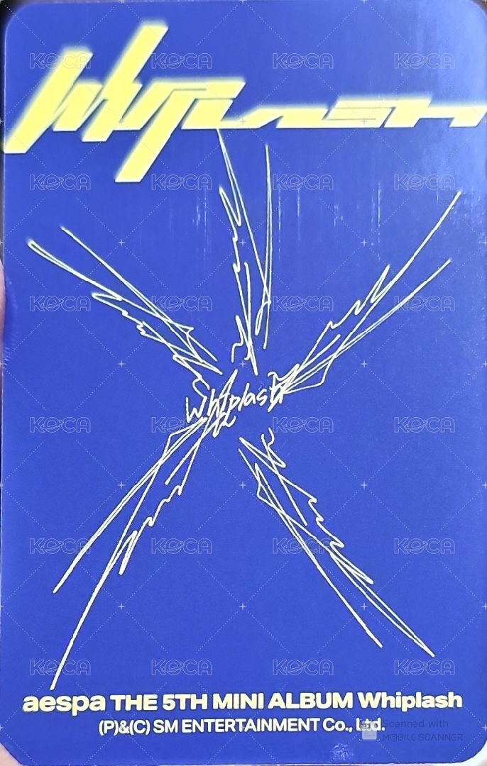 Whiplash target 專輯卡 Target冬 背面