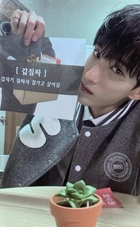 ‘TELEPARTY’ wvs 1.0 幸運卡 