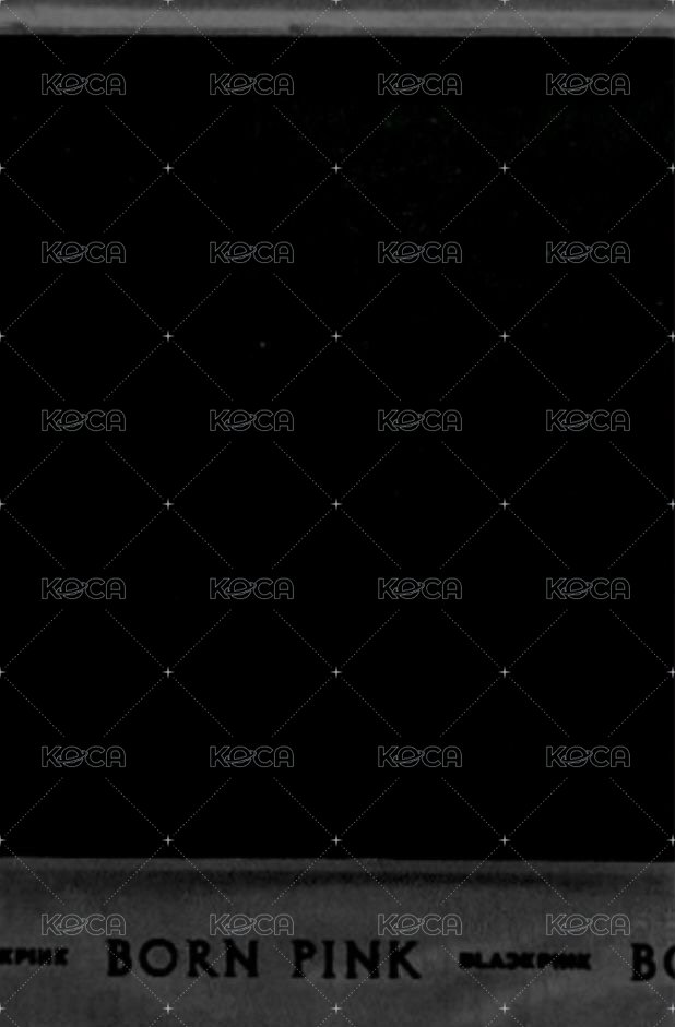 BORN PINK 專輯卡 Black ver.Pola B ver 背面