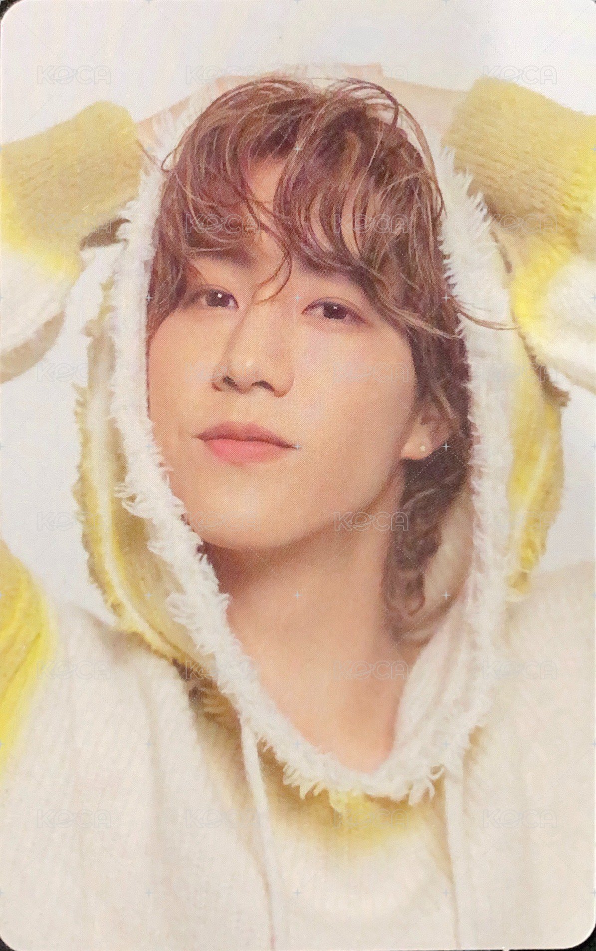 隨機卡 NESTFEST | Mark 包卡 正面