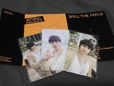 mini12 李燦克拉盤&VERNON WVS專