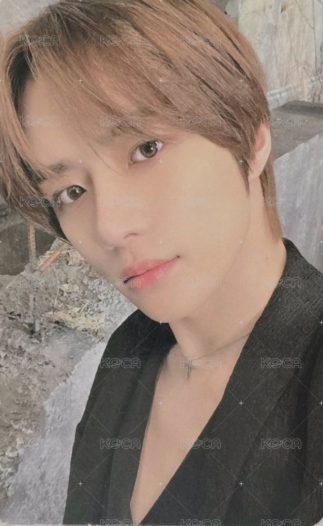 22’巡迴 演唱會 DVD / CD 卡  正面