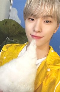 MINI11 專輯卡 |CARAT ver.
