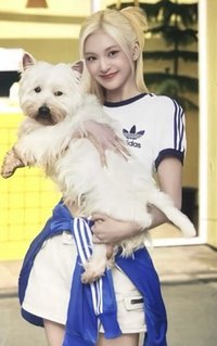 愛迪達 1.0 代言卡 