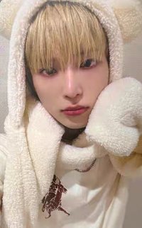 雪明 環球 特典卡 動物卡