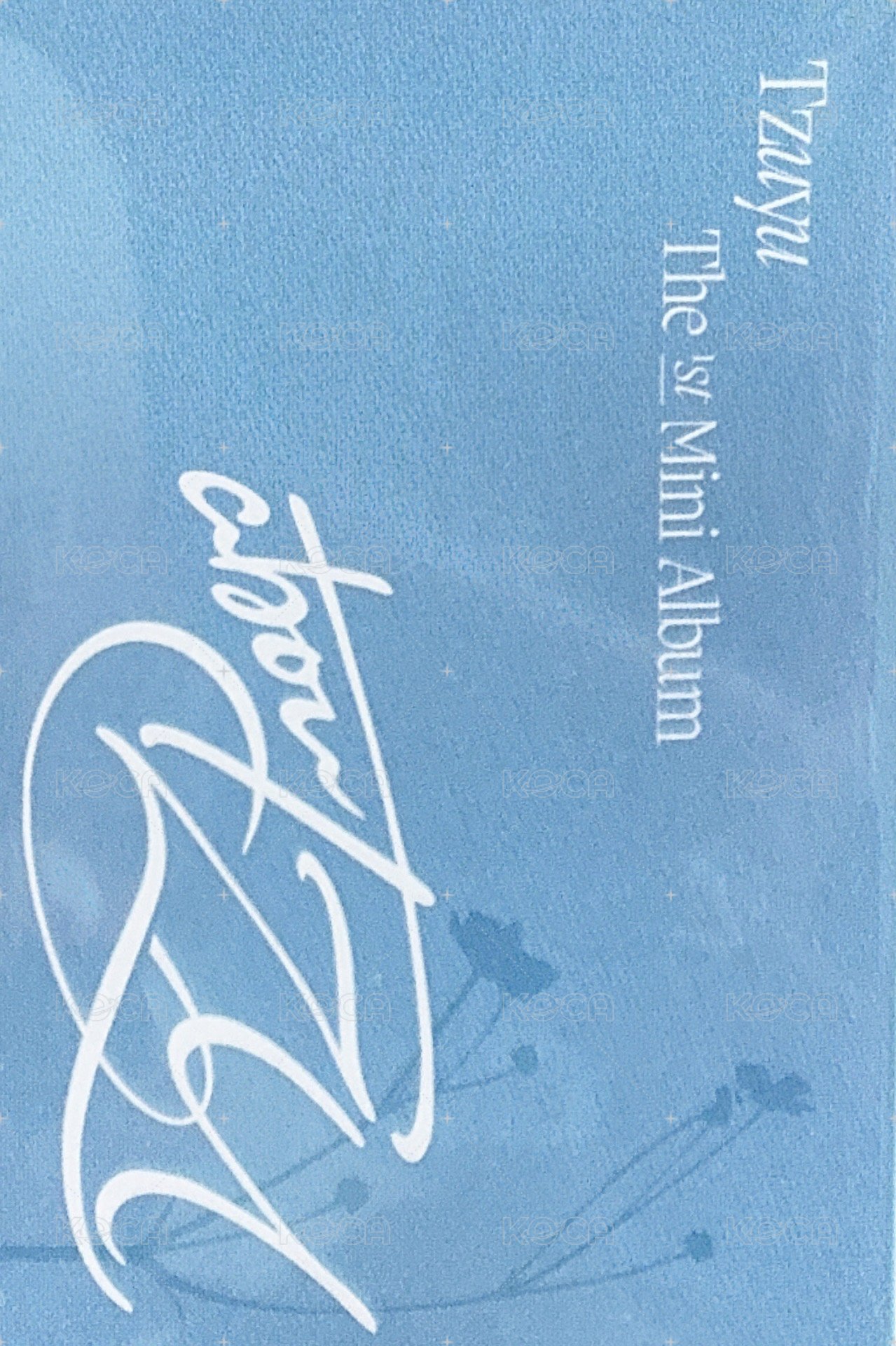 aboutTzu  專輯卡 雙變卡 run 背面