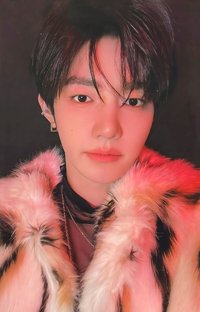 迷五 塔店 幸運卡 SEEK ver.