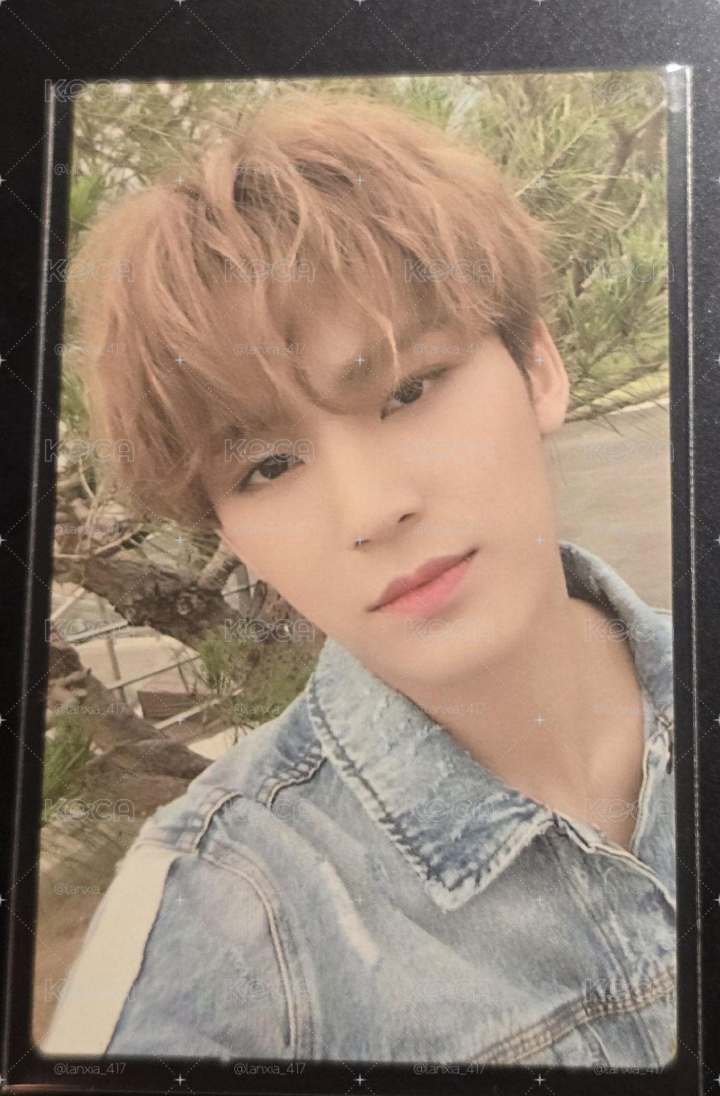 SEVENTEEN 珉奎