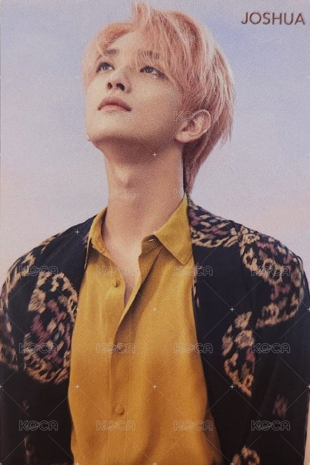 落花 hmv 粉版 特典卡  正面