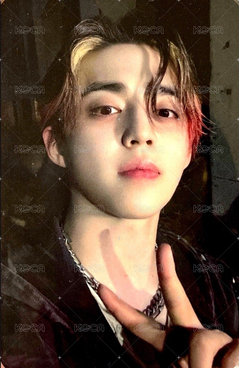 正五 oy 特典卡  正面