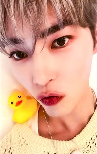 迷四 sw 特典卡 鴨子 ver.