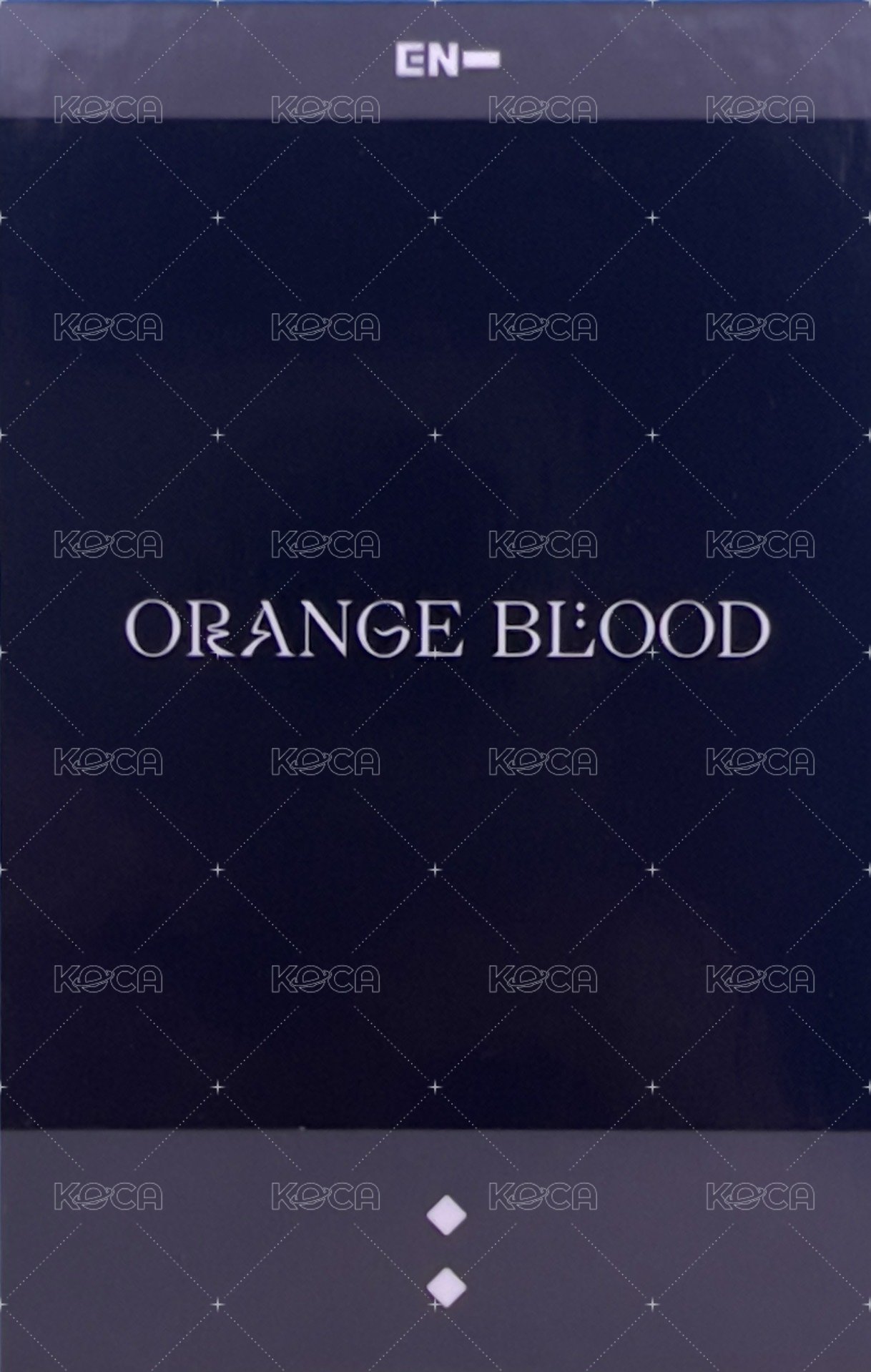 迷五 yzy ENGENE VER 特典卡 上海限定 復刻拍立得 背面