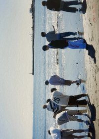 D社/D社日本快閃 明信片 A-TYPE