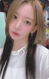 ANTIFRAGILE wvs 簽售卡 1.0簽售