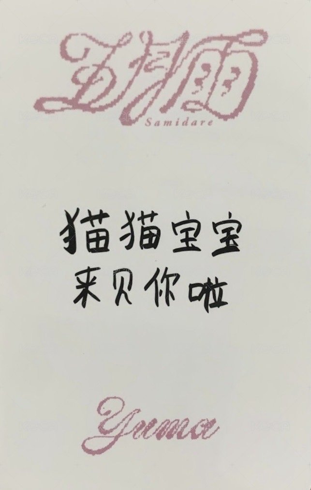 五月雨 yzy 青島線下簽售 簽售卡 中文卡背 背面