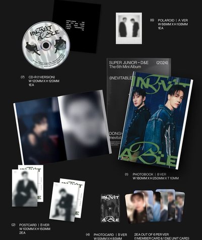 SUPER JUNIOR D&E INEVITABLE 迷你六輯 B 綠字ver.