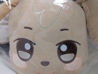 大頭抱枕 潤浩