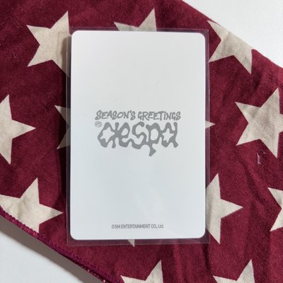 2025年曆後續 隨機卡B版 寧