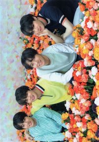 LY Tour 日巡 隨機卡 分隊 (3/8)