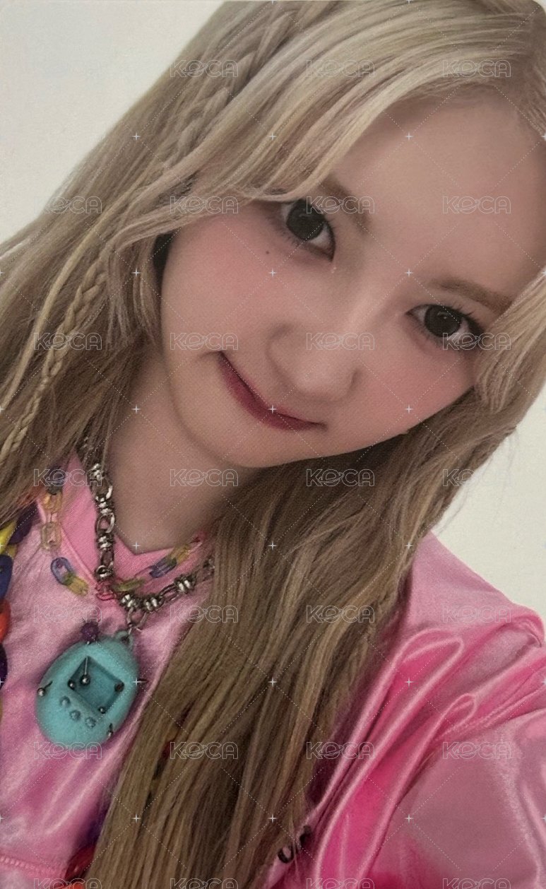 25’世巡 wvs 台北展位卡 特典卡  正面