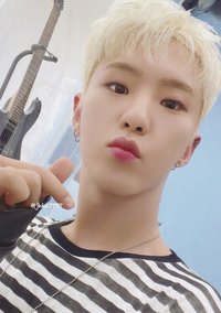 DREAM 隨機卡 卡包卡