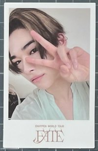 FATE世巡 wvs 特典卡 拍立得