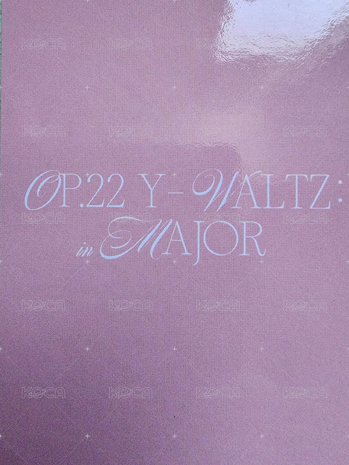 Op.22 Y-Waltz : in Major 專輯卡  背面