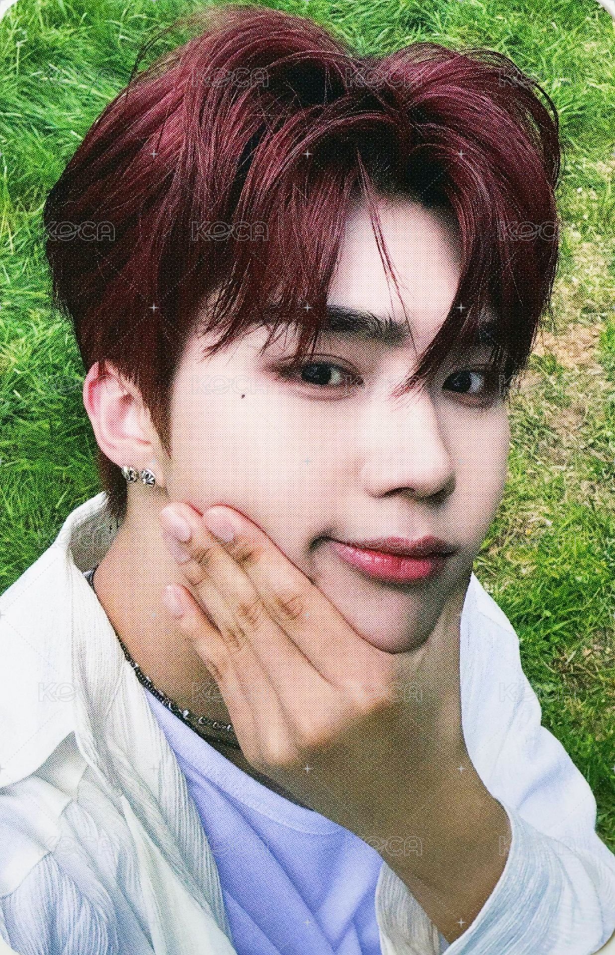 正規一 wm 特典卡 鼓臉 ver. 正面