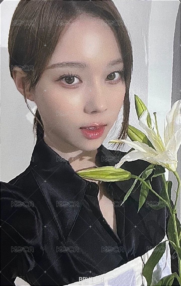 神秘主義 周邊卡 蠟燭冬 正面