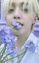 MINI8 pst LD 釜山 2.0 特典卡 