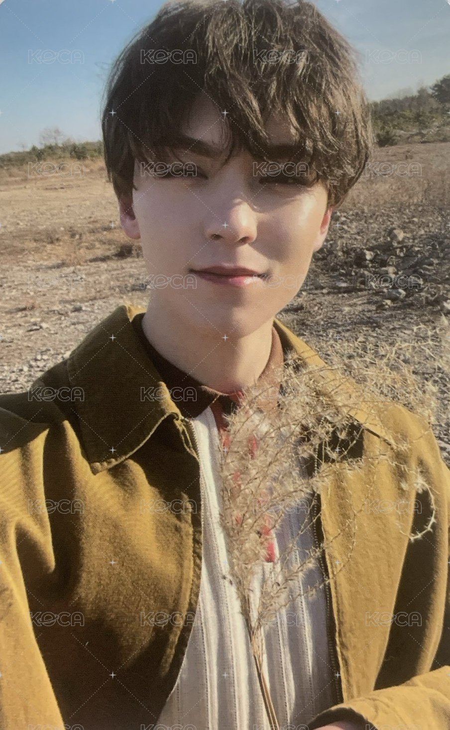 正四 wvs PB ver 特典卡  正面