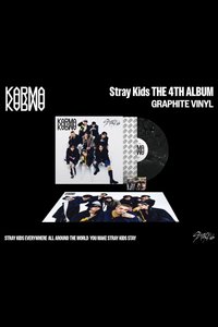 KARMA 黑膠唱片 黑版