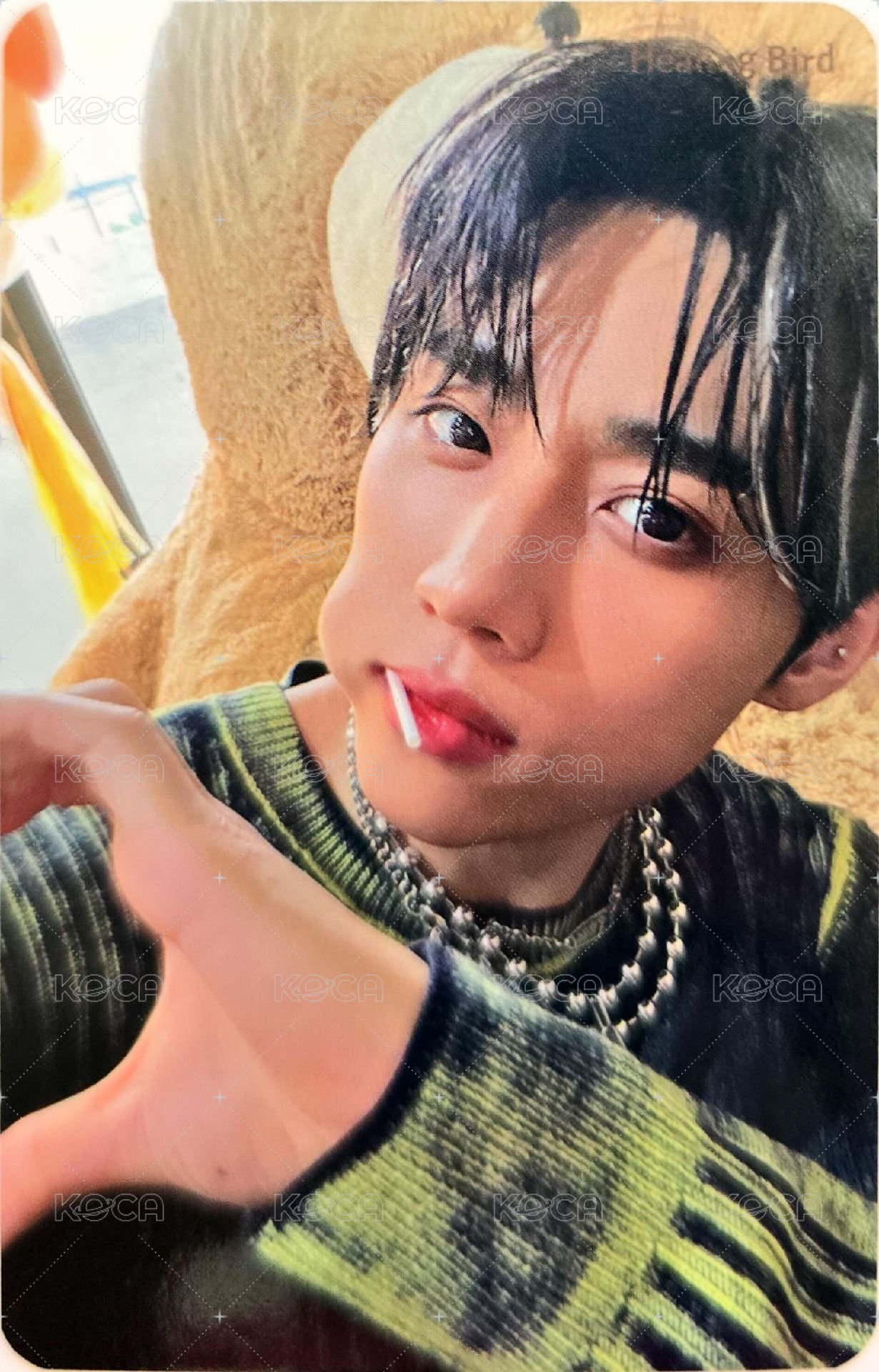 Healing Bird 代言卡 1.0 背面