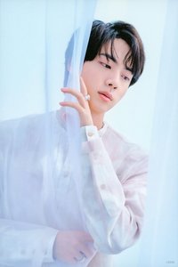 Proof 明信片 Standard 隨機