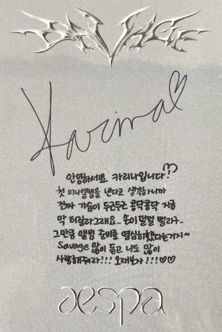 Savage 專輯卡 synk dive版柚 背面