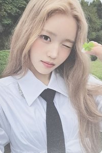 迷一 專輯卡 拿花菲
