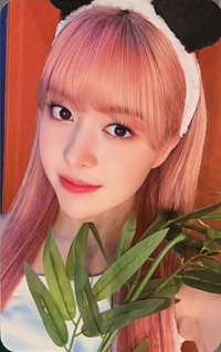 仲夏夜 el 3.0 幸運卡 熊貓竹葉