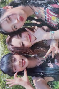 23世巡 周邊卡 亞洲限定卡冊小卡 麵妮刷三人卡