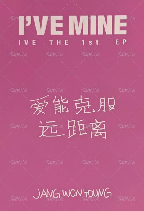 I'VE MINE yzy 1.0 簽售卡 中文卡背 背面