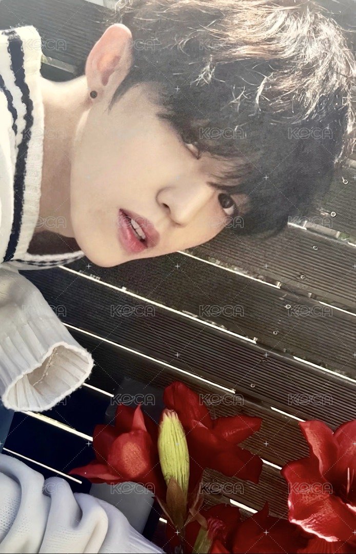 正二 專輯卡 正規二｜白ver. 正面