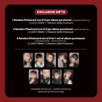 月狼 MMT 幸運卡