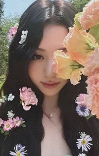 DICON 雜誌卡 A版花神允