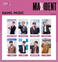 MAXIDENT 楠藝 特典