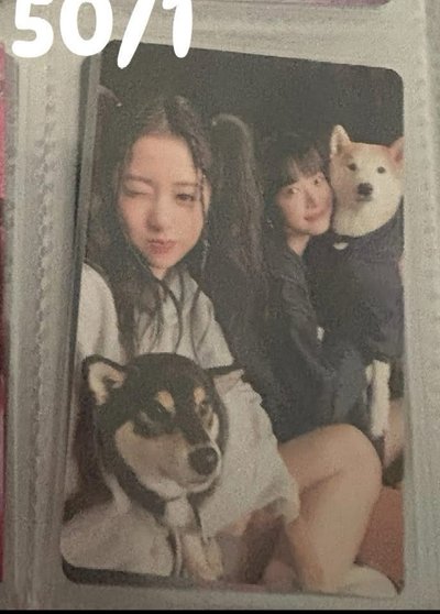 正規一電子專允真專卡 套出